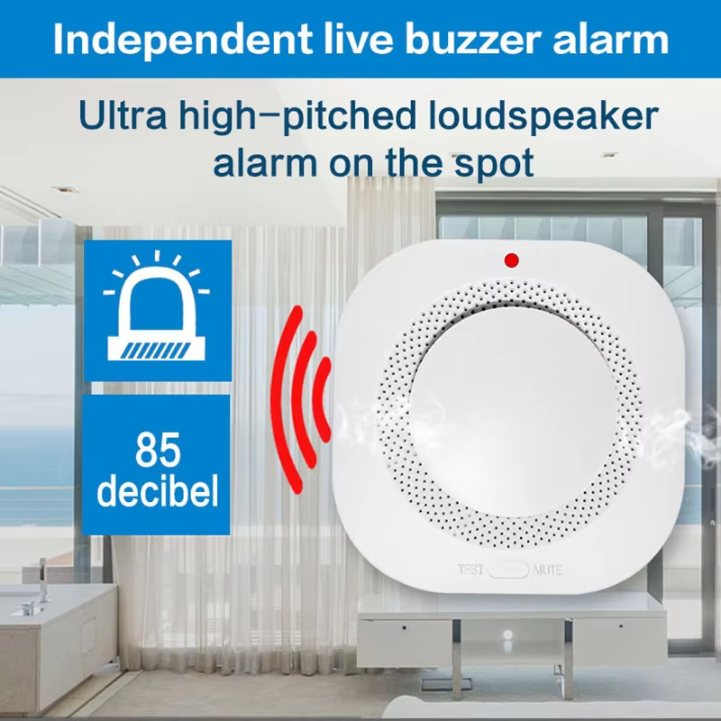 Smart Independent Smoke Detect - đánh giá và giá Smoke Detector Interconnected